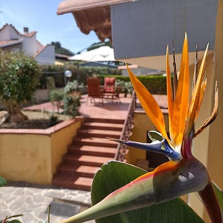 Marina di SorsoLa Casa Al Sole别墅 外观 照片