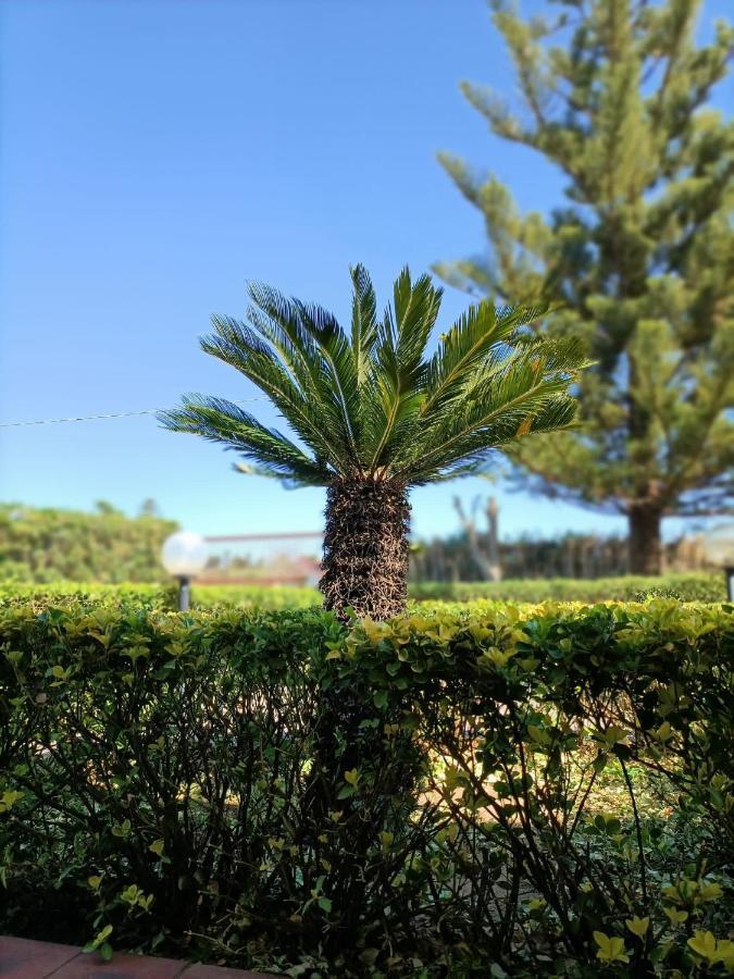 Marina di SorsoLa Casa Al Sole别墅 外观 照片