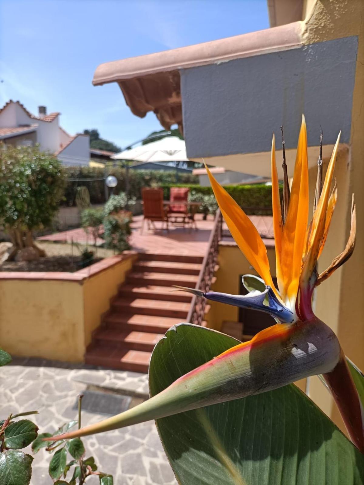 Marina di SorsoLa Casa Al Sole别墅 外观 照片